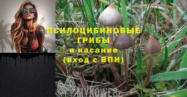 дмт Балабаново
