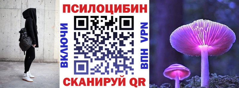 МЕГА как войти  Красково  Псилоцибиновые грибы Psilocybe 